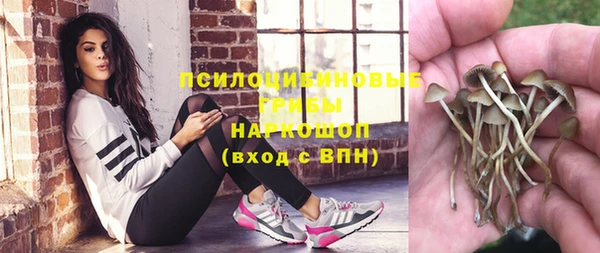 прущая мука Алзамай